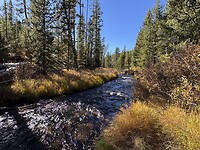 IMG_0703