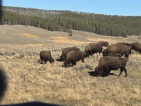 IMG_0708