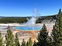 IMG_0768