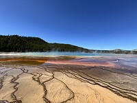 IMG_0794