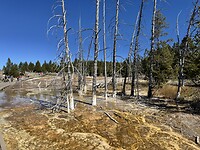 IMG_0807
