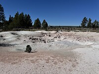 IMG_0809