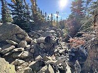 IMG_1560