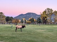 IMG_1626