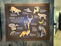 IMG_1681