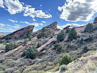 IMG_1664