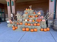 IMG_1659