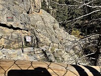 IMG_1655