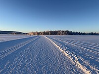 IMG_2436