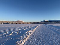 IMG_2438