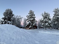 IMG_2443
