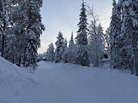 IMG_2466