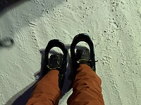 IMG_2481