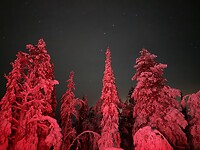 IMG_2491