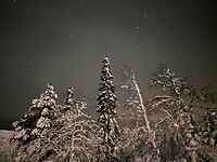 IMG_2517