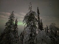 IMG_2526