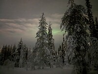 IMG_2525
