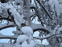 IMG_2563