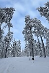 IMG_2567