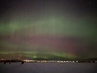 IMG_2799