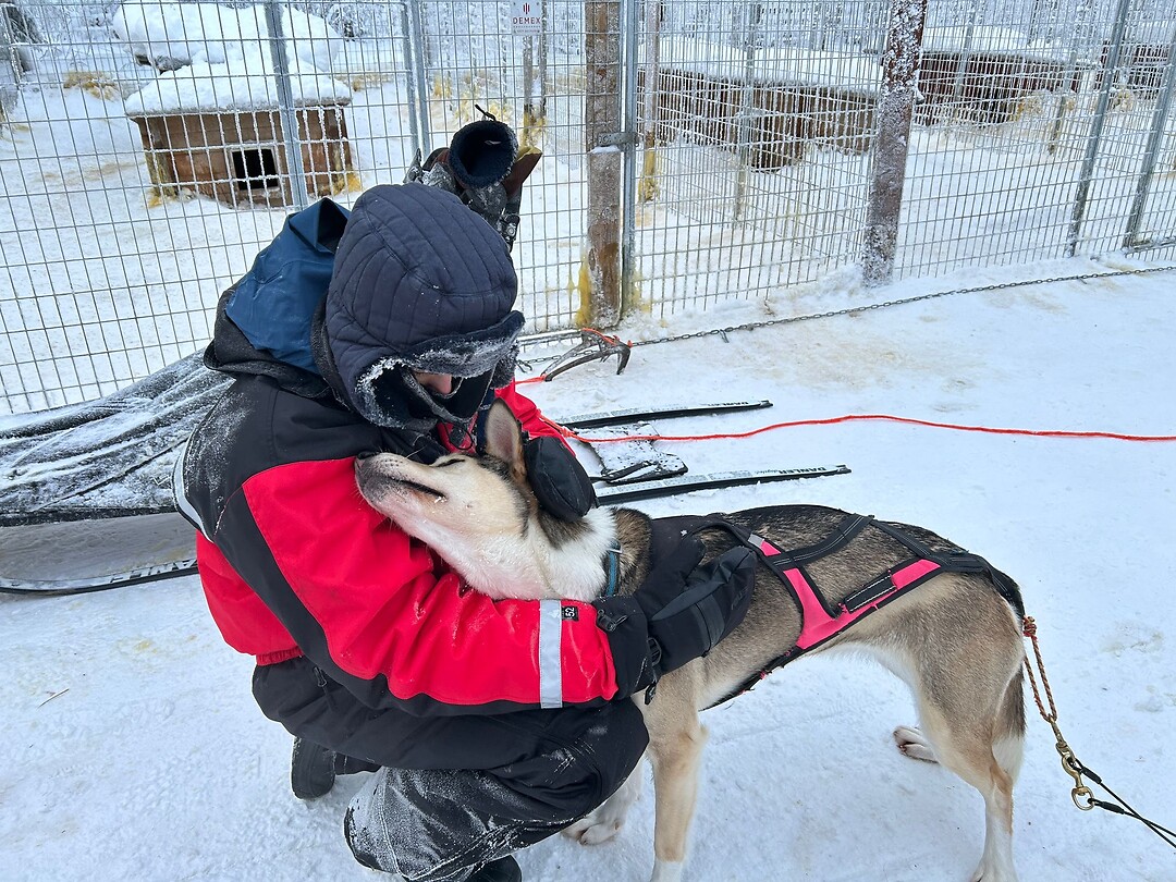 ce8e2e75-461b-4d52-92d8-0f73426f1a4e