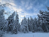 IMG_2696