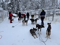 IMG_2666