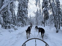 IMG_2630