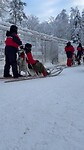 Husky