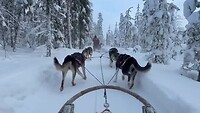 Husky tocht