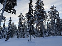IMG_2822