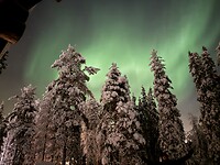 IMG_2888