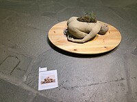 IMG_2924
