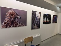 IMG_2925