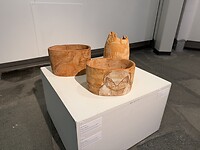 IMG_2926