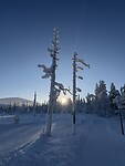 IMG_2937