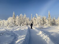IMG_2945
