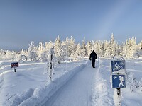 IMG_2944