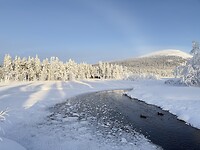 IMG_2942