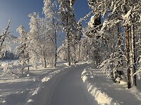 IMG_2947