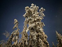 IMG_3041