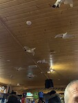 IMG_3028