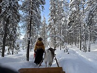IMG_2995