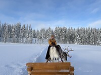 IMG_2994