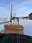 IMG_2990