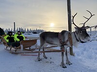 IMG_2989
