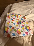 IMG_2973