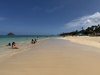 IMG_4981