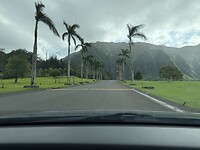 IMG_4984