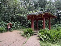 IMG_5004